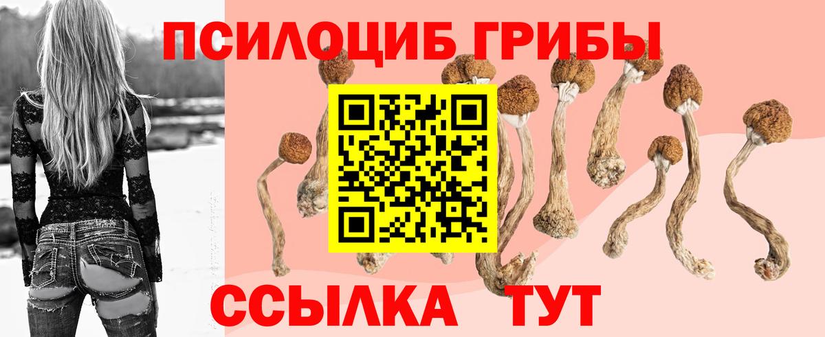 Галлюциногенные грибы Psilocybe  Вход с VPN  Санкт-Петербург 